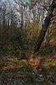 le ruisseau sur le chemin de Blaches